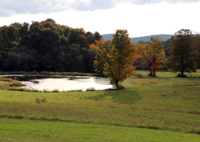 A pond in the afternoon light of fall.