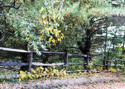 Split rail fence with autumn leaves